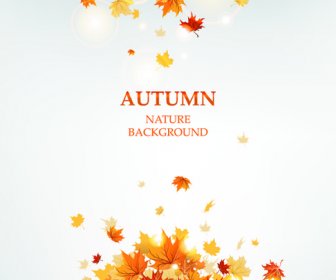 Folhas De Outono Brilhante Vector Backgrounds