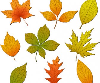 Leuchtende Herbstblätter Vektor-Hintergründe