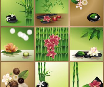 Bright Bamboo Design Elements