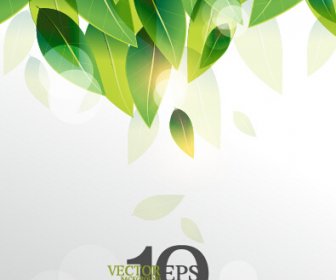 Hojas Verde Brillante Backgrounds Vector Graphics