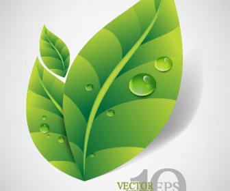 Bright Green Leaves Backgrounds Vector Graphics
