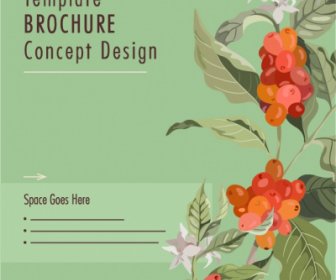 брошюра крышка шаблон элегантный ботанические растения эскиз