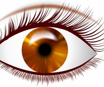 Braune Augen-Symbol Closeup Helles Design