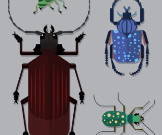 Bug Insects Species Icons Colored Flat Sketch