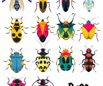 Insectos Insectos Iconos Colorido Diseño Simétrico