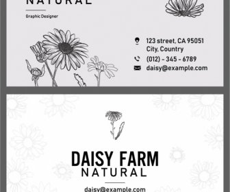 Business Card Template Daisy Flower Decor Handdrawn Sketch