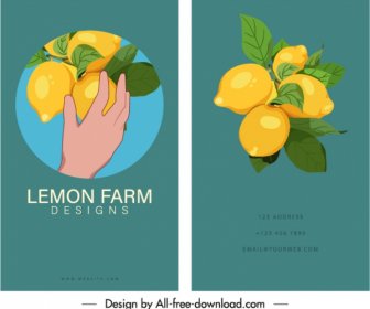 Business Card Template Lemon Fruits Sketch Classic Elegance