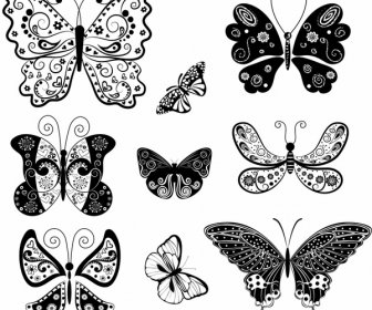 Schmetterlinge Kollektion