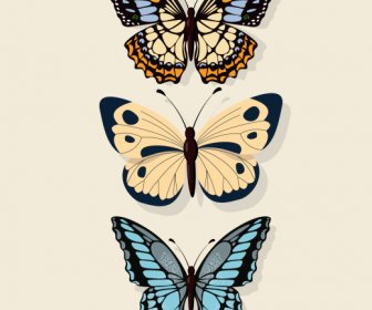 Kelebekler Dekor Elemanları Düz Renkli Simetrik Tasarım