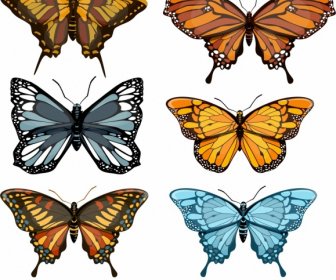Butterflies Icons Collection Colorful Modern Design