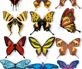 蝶のアイコンコレクション暗いカラフルな形