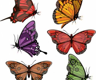Butterflies Icons Collection Multicolored Modern Shapes Design