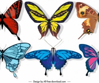 Butterflies Icons Colorful Wings Decor