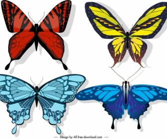Schmetterlinge Ikonen Farben Mischen Dekor