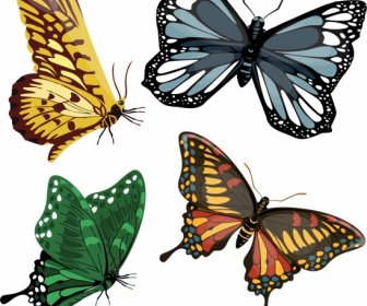 Butterflies Icons Templates Colorful Modern Shapes Sketch
