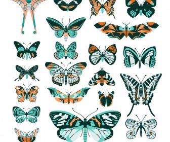 蝶の種コレクションカラフルな対称フラットデザイン