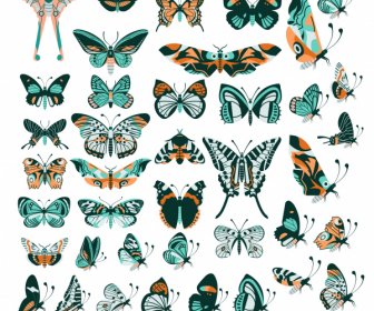 Farfalle Specie Icone Collezione Colorato Classico Design Piatto