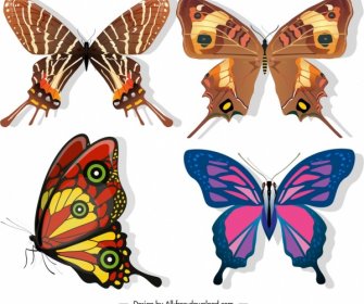 Butterflies Species Icons Dark Colorful Sketch