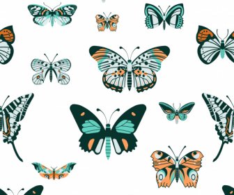 蝴蝶物種模式五顏六色的平面裝飾