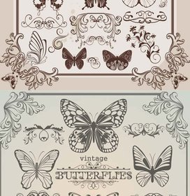 Butterfly Floral Border Vector