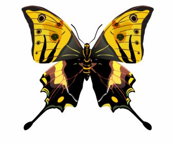 Butterfly Icon Colorful Modern Flat Symmetric Sketch
