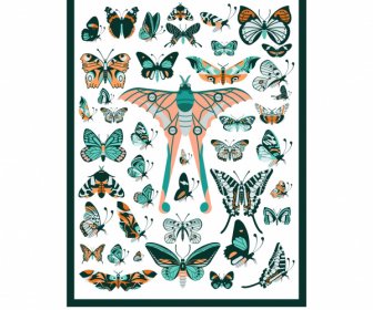 나비 아이콘 컬렉션 다채로운 평면 대칭 모양
