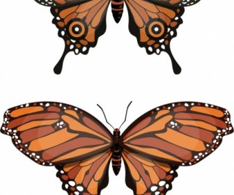 Butterfly Icons Modern Brown Sketch