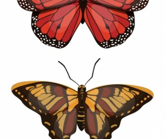 Ikon Butterfly Dekorasi Coklat Merah Desain Modern