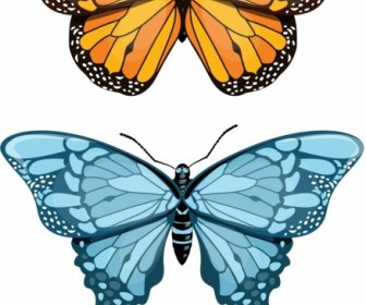 蝴蝶图标黄色蓝色装饰现代设计