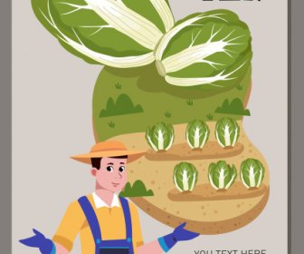 Cartel Publicitario De Repollo Agricultor Campo Productos Agrícolas Boceto
