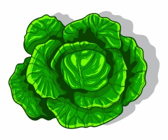 Cabbage Icon Classical Green  Handdrawn Outline