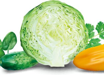 Cabbage With Peppers And Cucumbers Vector