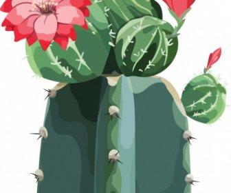 Cacti Flower Painting Blooming Sketch Closeup Design