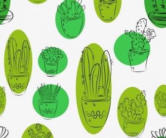 Cactus Background Various Types Sketch Handdrawn Repeating Style
