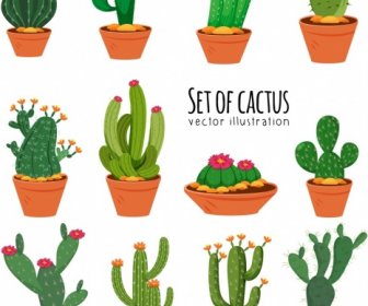 Koleksi Ikon Kaktus Desain Klasik Berwarna-warni