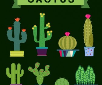 Colección De Iconos Distintos Tipos De Verde Cactus