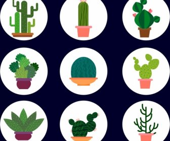 Cactus Icons Collection Various Green Types Isolation