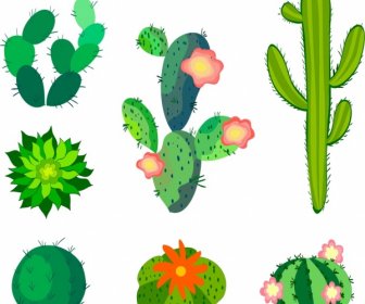 Cactus Icons Collection Various Green Types Sketch
