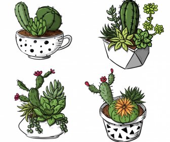Cactus Pot Icons Classic 3d Handdrawn Sketch