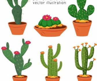 Cactus Pots Icons Colorful Classical Design