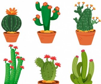 Cactus Pots ícones Flora Formas Espinhosas Esboço