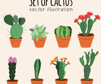 Cactus Pots Icons Various Multicolored Types Isolation