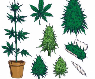 Cannabis Cigarro Design Elementos árvore Esboço Folha