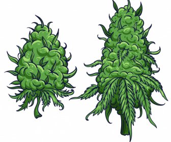 Iconos De árbol De Cannabis Verde Clásico Dibujado A Mano Formas