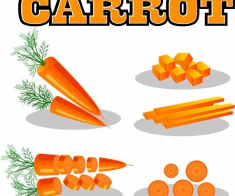Conception Décorative Orange Carotte Icônes 3d