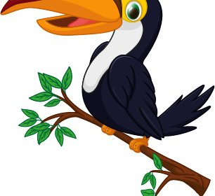 Vetor De Pássaro Tucano Dos Desenhos Animados