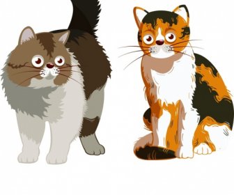 Cat Icons Colored Cartoon Design