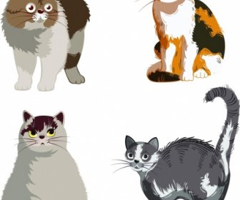 Katze Haustier Symbole Niedlichen Bunten Cartoon-design