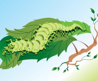 caterpillar vector