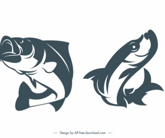 Catfish Species Icons Classic Handdrawn Dynamic Design